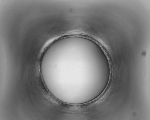 X0000095131358200712070957