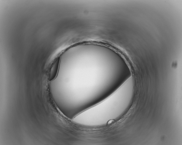 X0000095131359200712070957