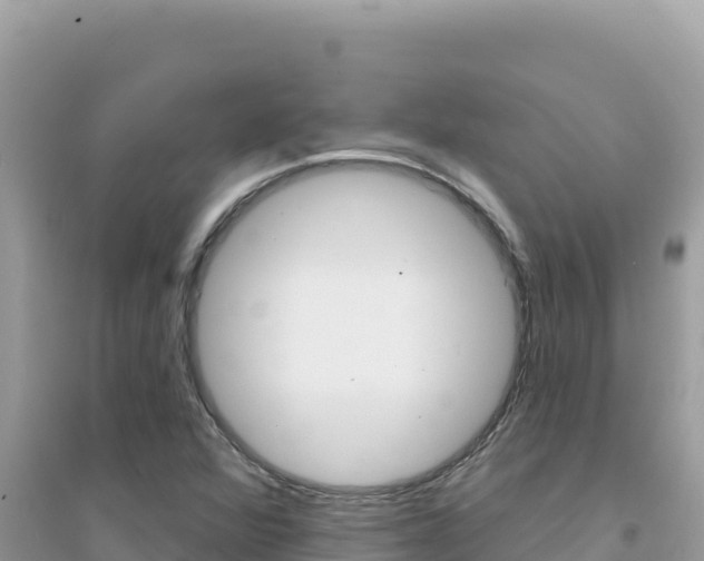 X0000095131360200712070957