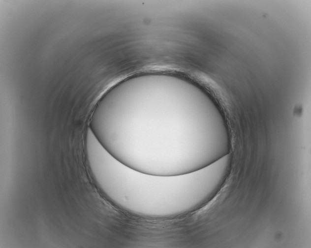 X0000095131361200712070957