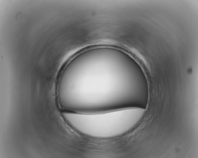 X0000095131364200712070957