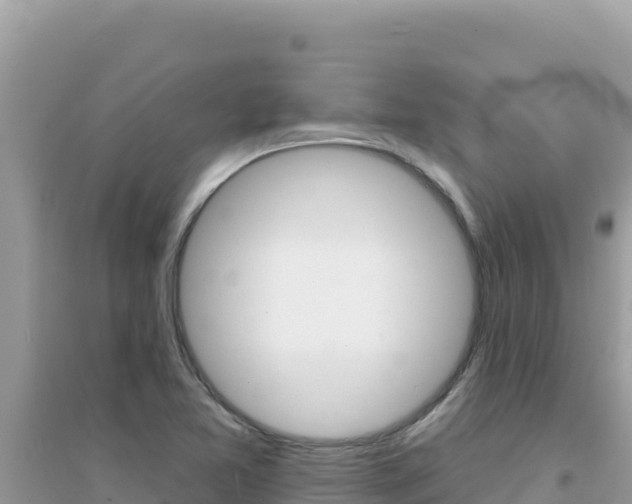 X0000095131365200712070957