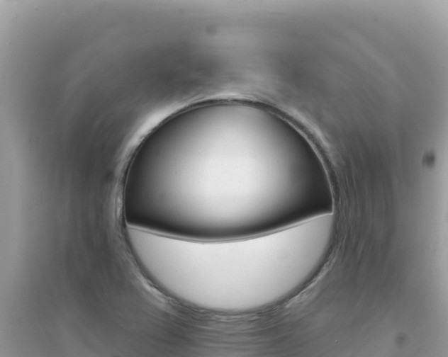 X0000095131367200712070957