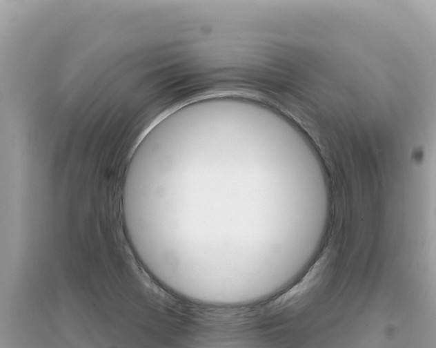X0000095131369200712070957