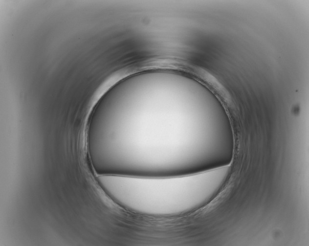 X0000095131370200712070957