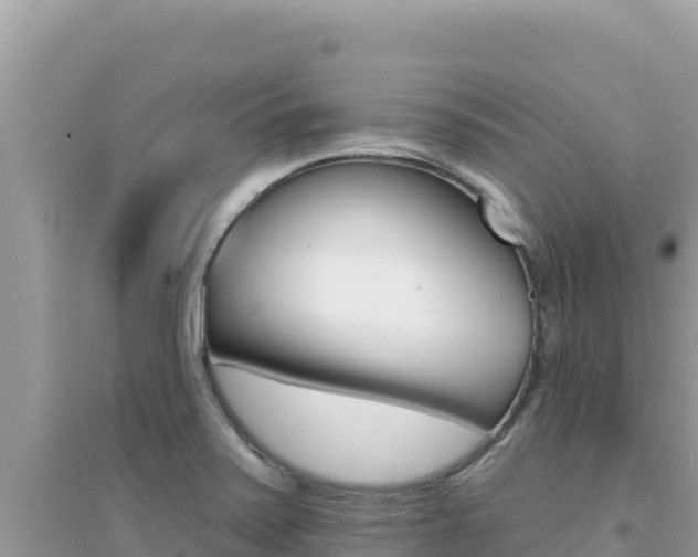 X0000095131371200712070957