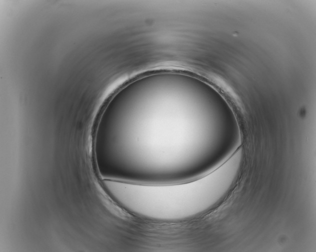X0000095131372200712070957
