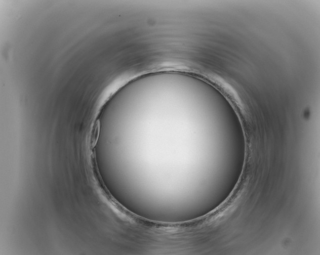 X0000095131373200712070957