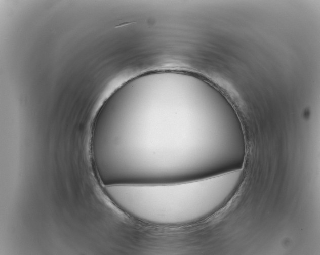 X0000095131374200712070957