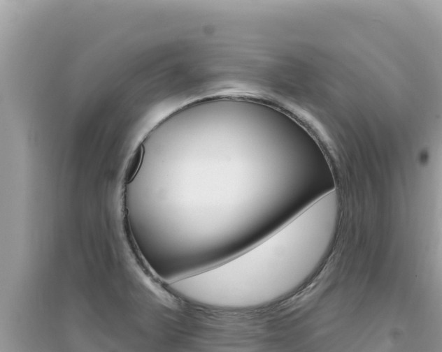 X0000095131375200712070957