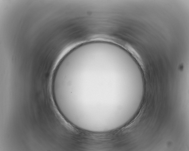 X0000095131376200712070957