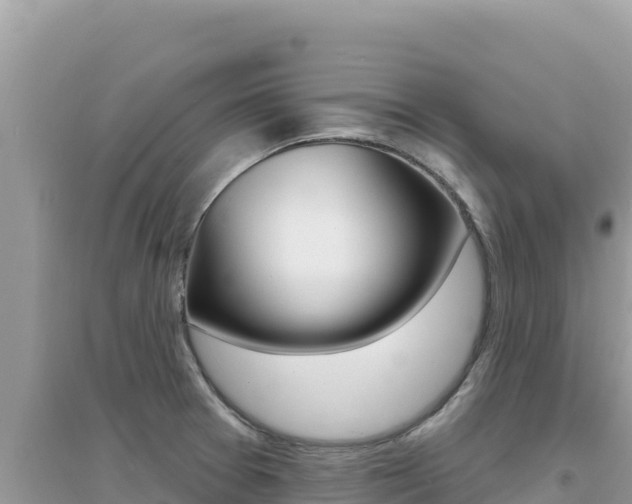 X0000095131377200712070957