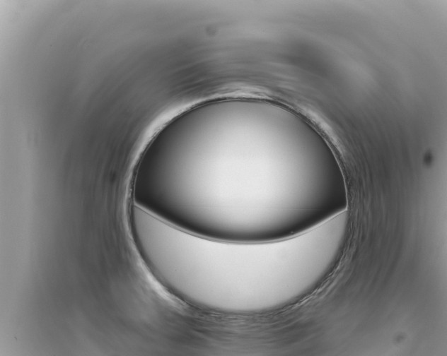 X0000095131379200712070957