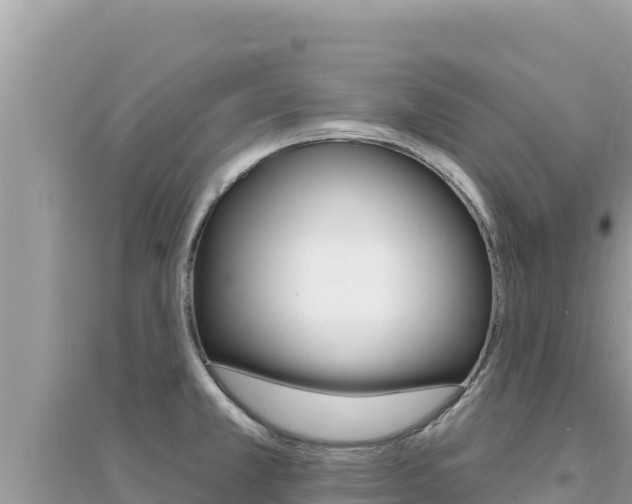 X0000095131381200712070957