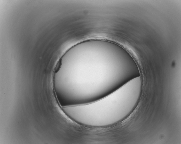 X0000095131382200712070957