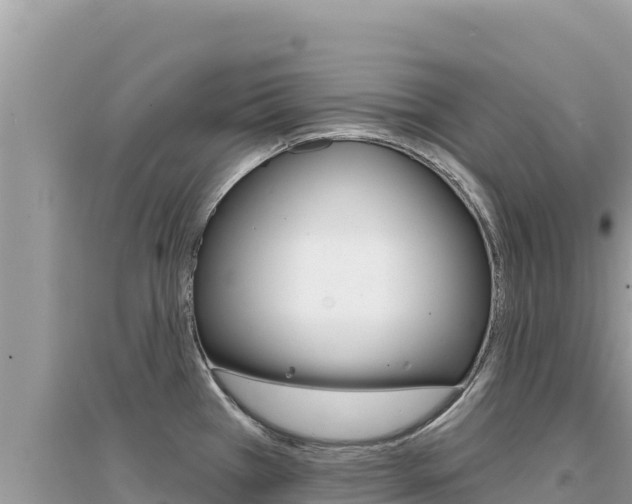 X0000095131385200712070957
