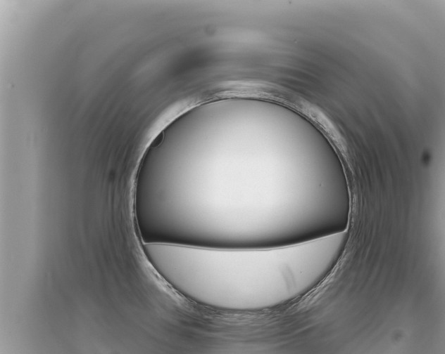 X0000095131386200712070957