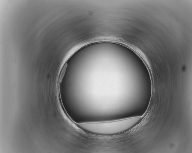 X0000095131389200712070957
