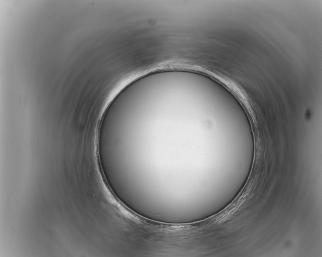 X0000095131390200712070957