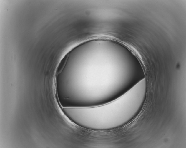 X0000095131391200712070957