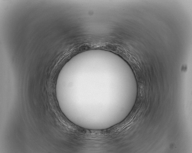 X0000095131393200712070956