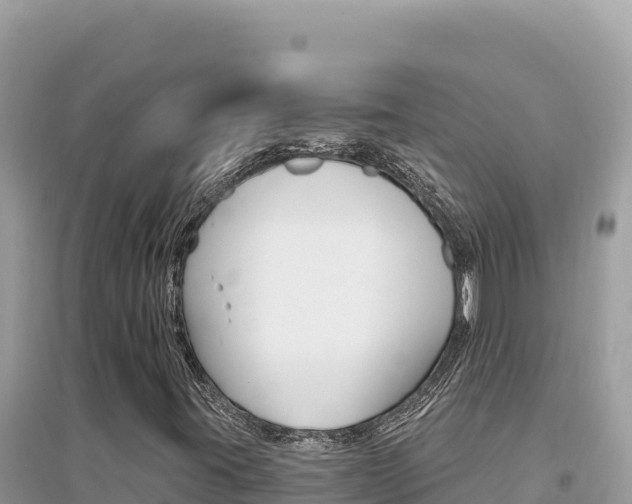 X0000095131395200712070956