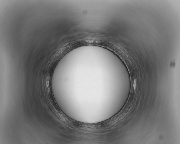 X0000095131396200712070956
