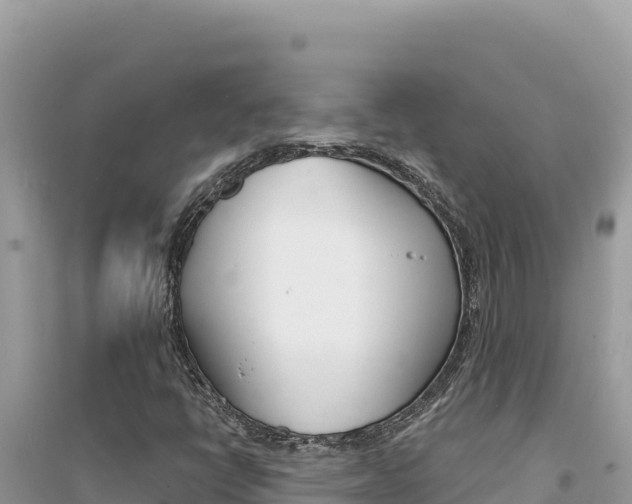 X0000095131398200712070956