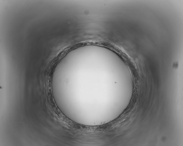 X0000095131399200712070956