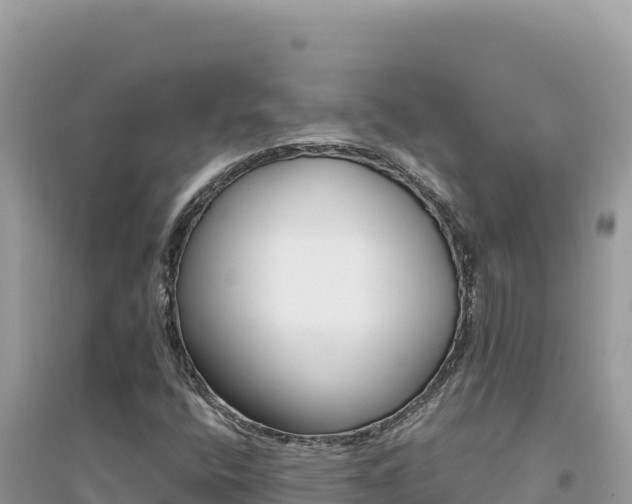X0000095131400200712070956