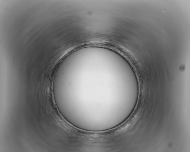 X0000095131401200712070956