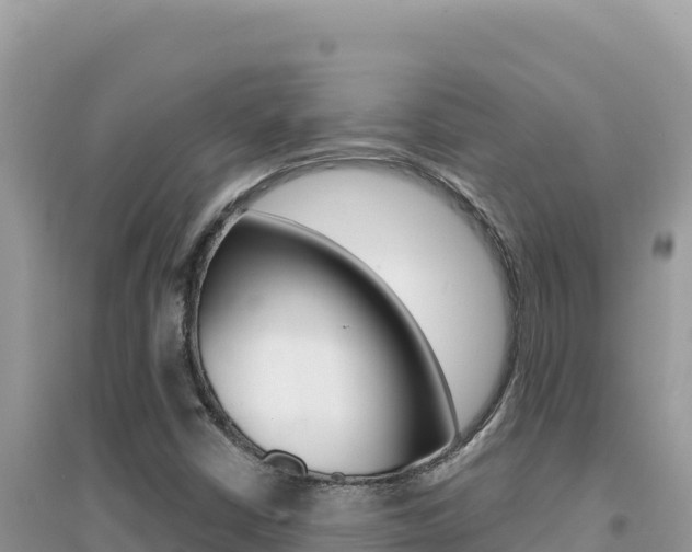 X0000095131402200712070956