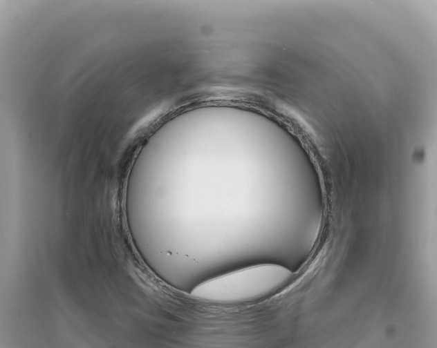 X0000095131403200712070956