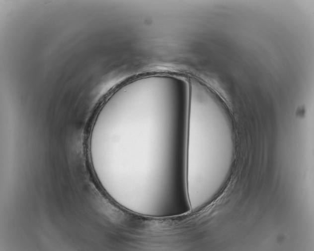 X0000095131404200712070956