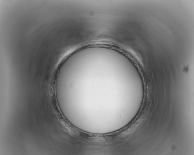 X0000095131405200712070956