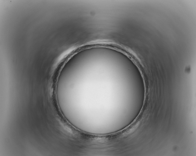 X0000095131406200712070956