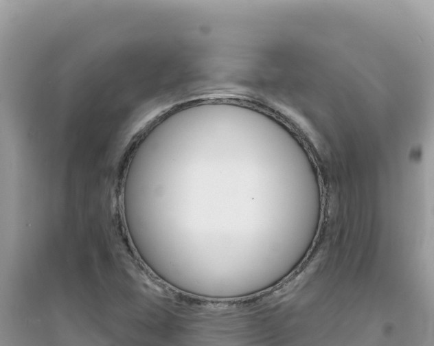 X0000095131407200712070956