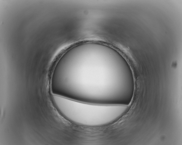 X0000095131408200712070956