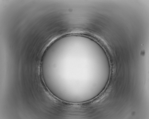 X0000095131409200712070956