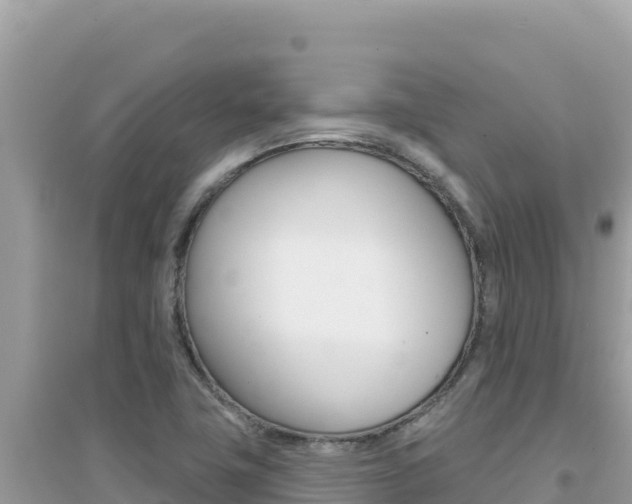 X0000095131411200712070956