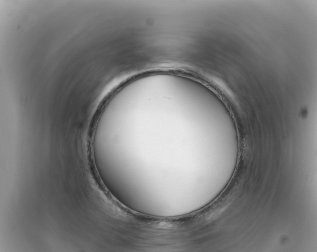 X0000095131412200712070956