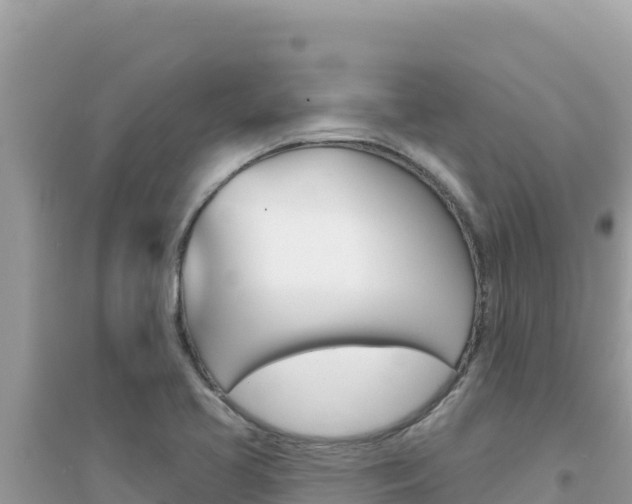 X0000095131413200712070956