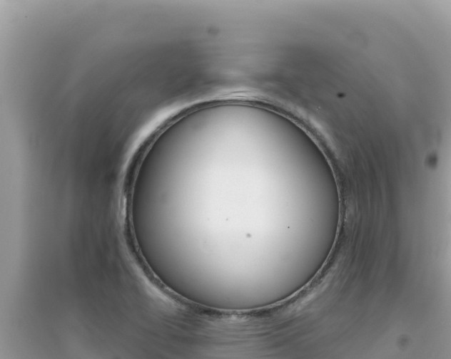 X0000095131414200712070956