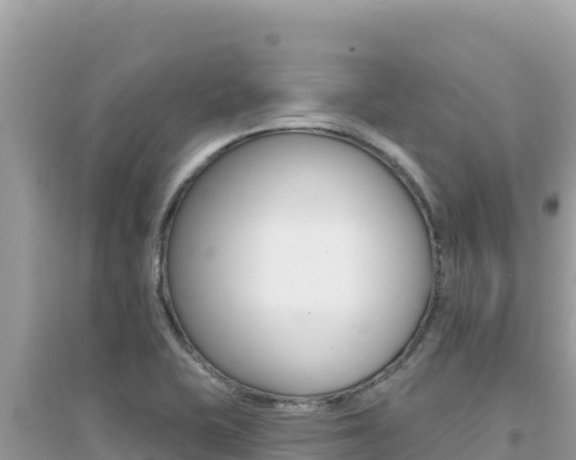 X0000095131415200712070956