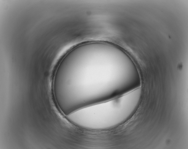 X0000095131416200712070956