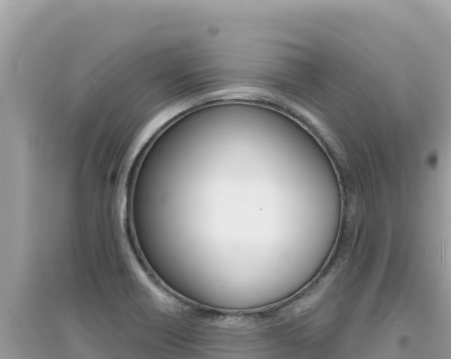 X0000095131418200712070956