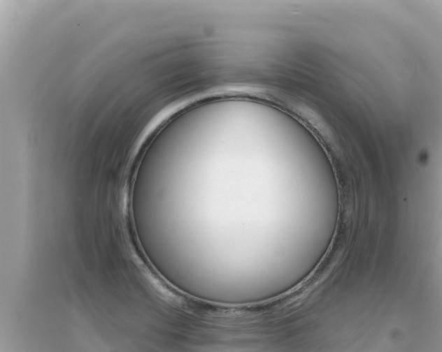 X0000095131420200712070956