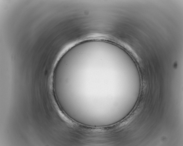 X0000095131421200712070956