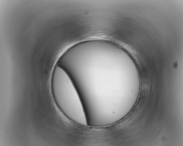 X0000095131423200712070956