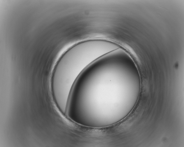 X0000095131424200712070956